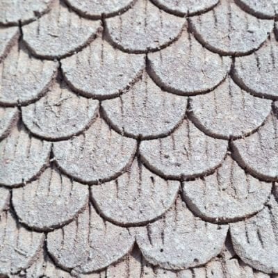 Asbestos? Types and associated fibers