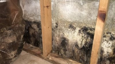 What is a Mold Remediation Protocol?