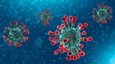 COVID-19 – EE&G DECONTAMINATION